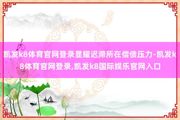凯发k8体育官网登录显耀迟滞所在偿债压力-凯发k8体育官网登录,凯发k8国际娱乐官网入口