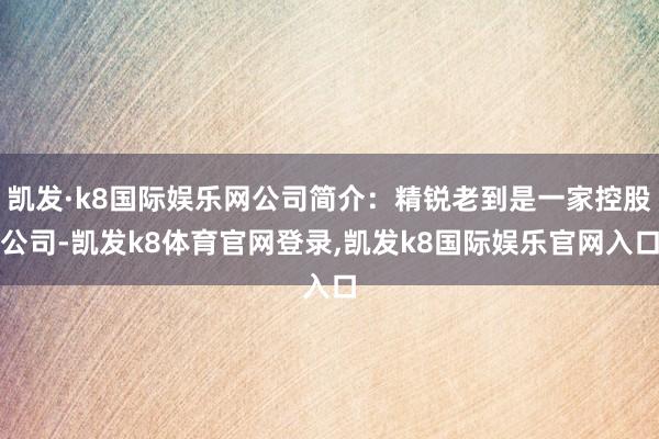 凯发·k8国际娱乐网公司简介：精锐老到是一家控股公司-凯发k8体育官网登录,凯发k8国际娱乐官网入口