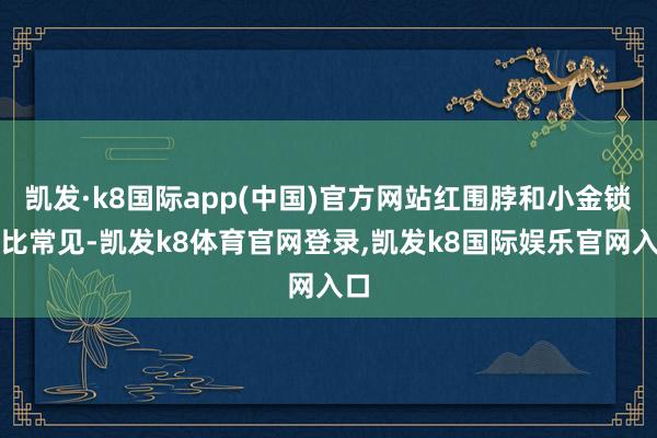 凯发·k8国际app(中国)官方网站红围脖和小金锁相比常见-凯发k8体育官网登录,凯发k8国际娱乐官网入口