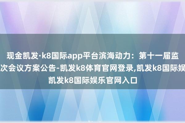现金凯发·k8国际app平台滨海动力：第十一届监事会第十七次会议方案公告-凯发k8体育官网登录,凯发k8国际娱乐官网入口